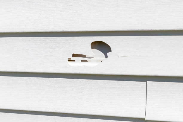 Professional Siding Installation in Lykens, PA